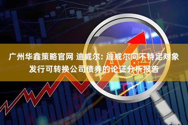 广州华鑫策略官网 迪威尔: 迪威尔向不特定对象发行可转换公司债券的论证分析报告
